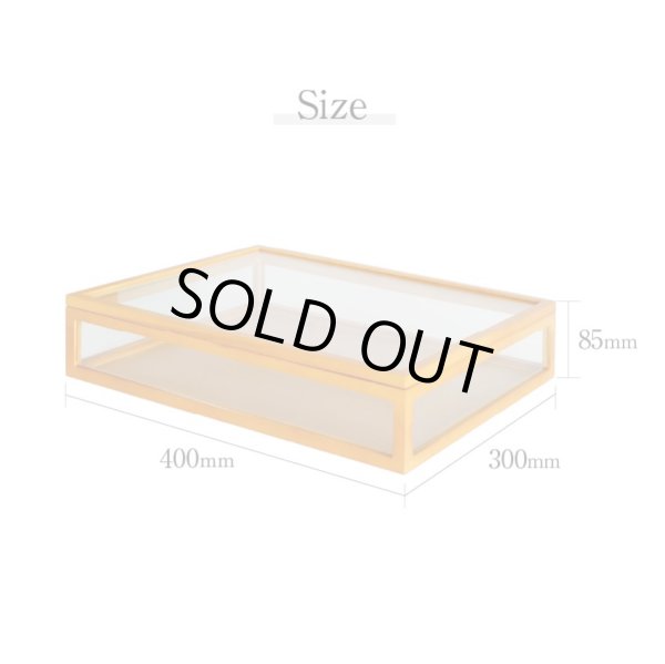 画像9: 木製5面ガラス コレクションケース ライトブラウン (9)