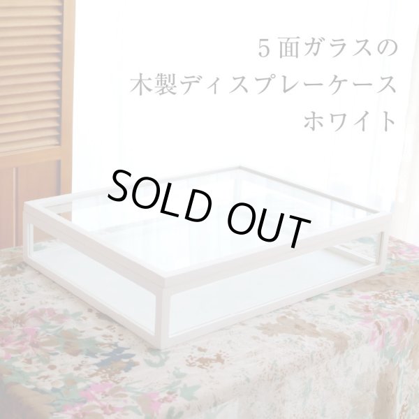 画像2: 木製5面ガラス コレクションケース ホワイト (2)