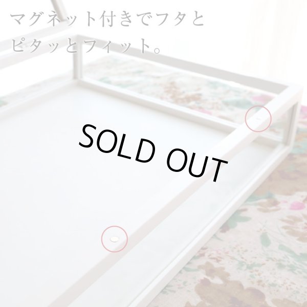 画像8: 木製5面ガラス コレクションケース ホワイト (8)