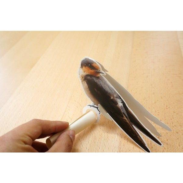 画像6: 小鳥のメモスタンド C柄 80シート付き (6)