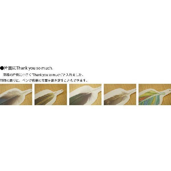 画像3: 羽根のサンキューカード メッセージカード 50枚入り (3)